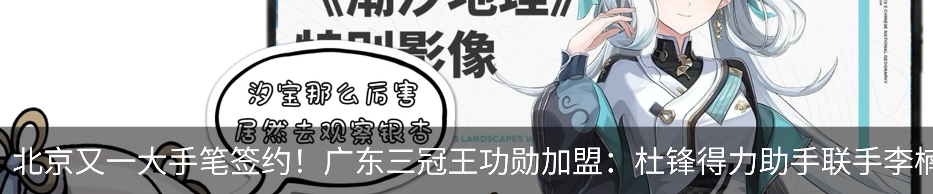 新闻动态
