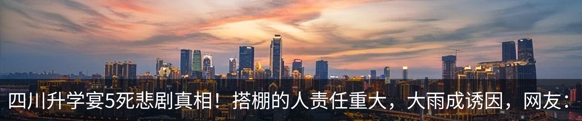 新闻动态