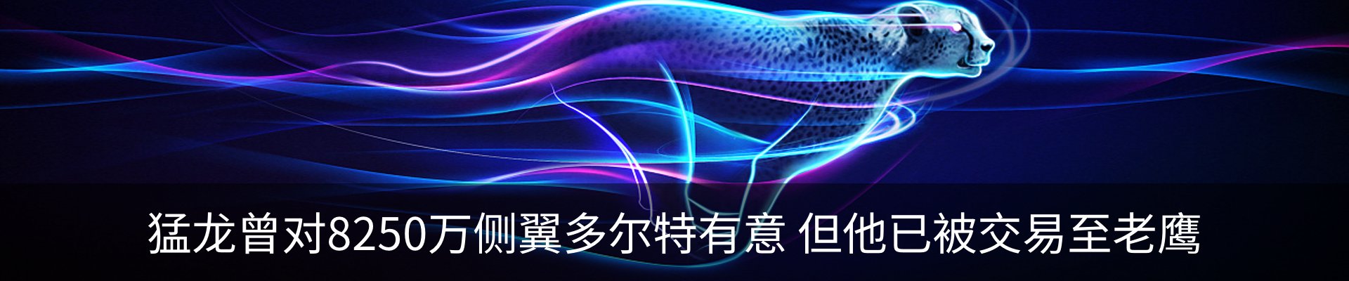 新闻动态