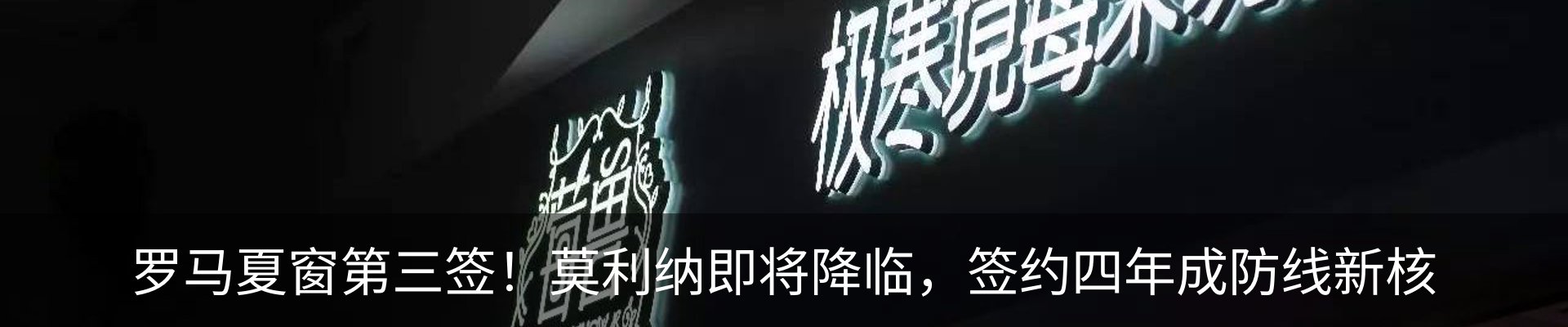 新闻动态